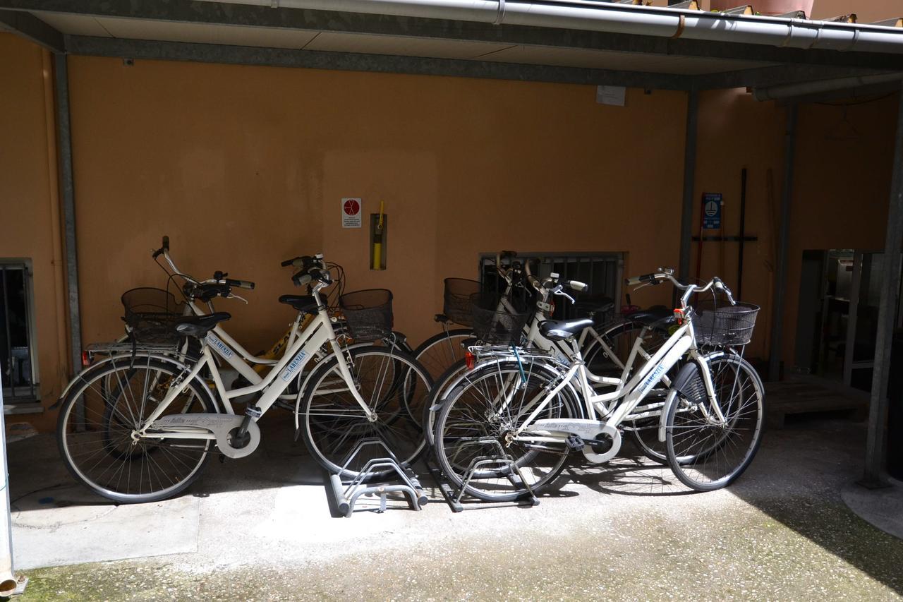 Larenzia 3*